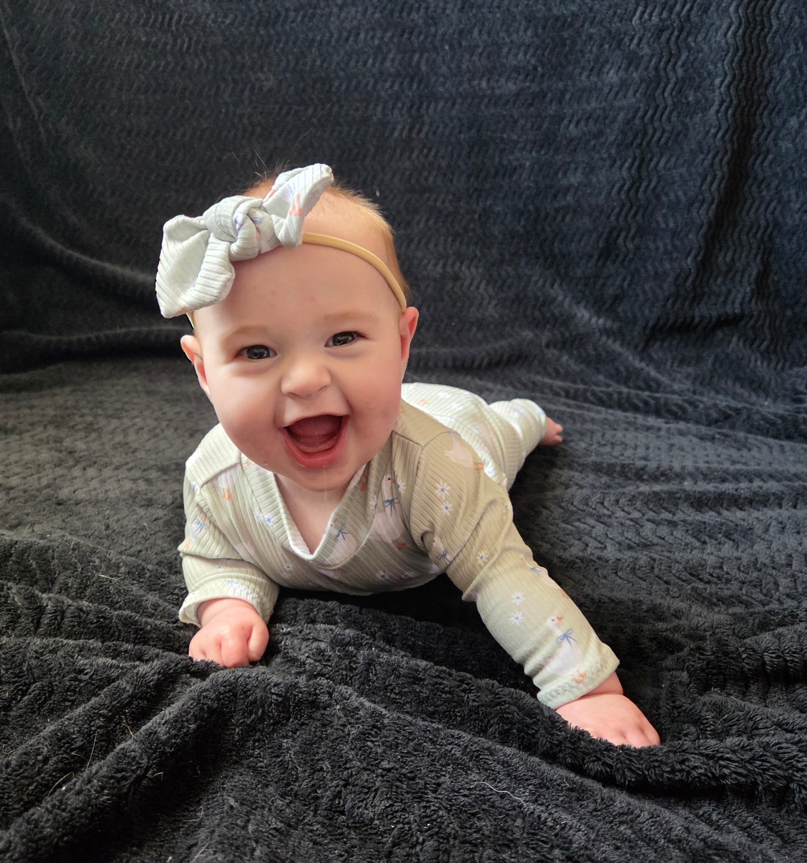 Blue Ribbon Geese Ribbed Headbands