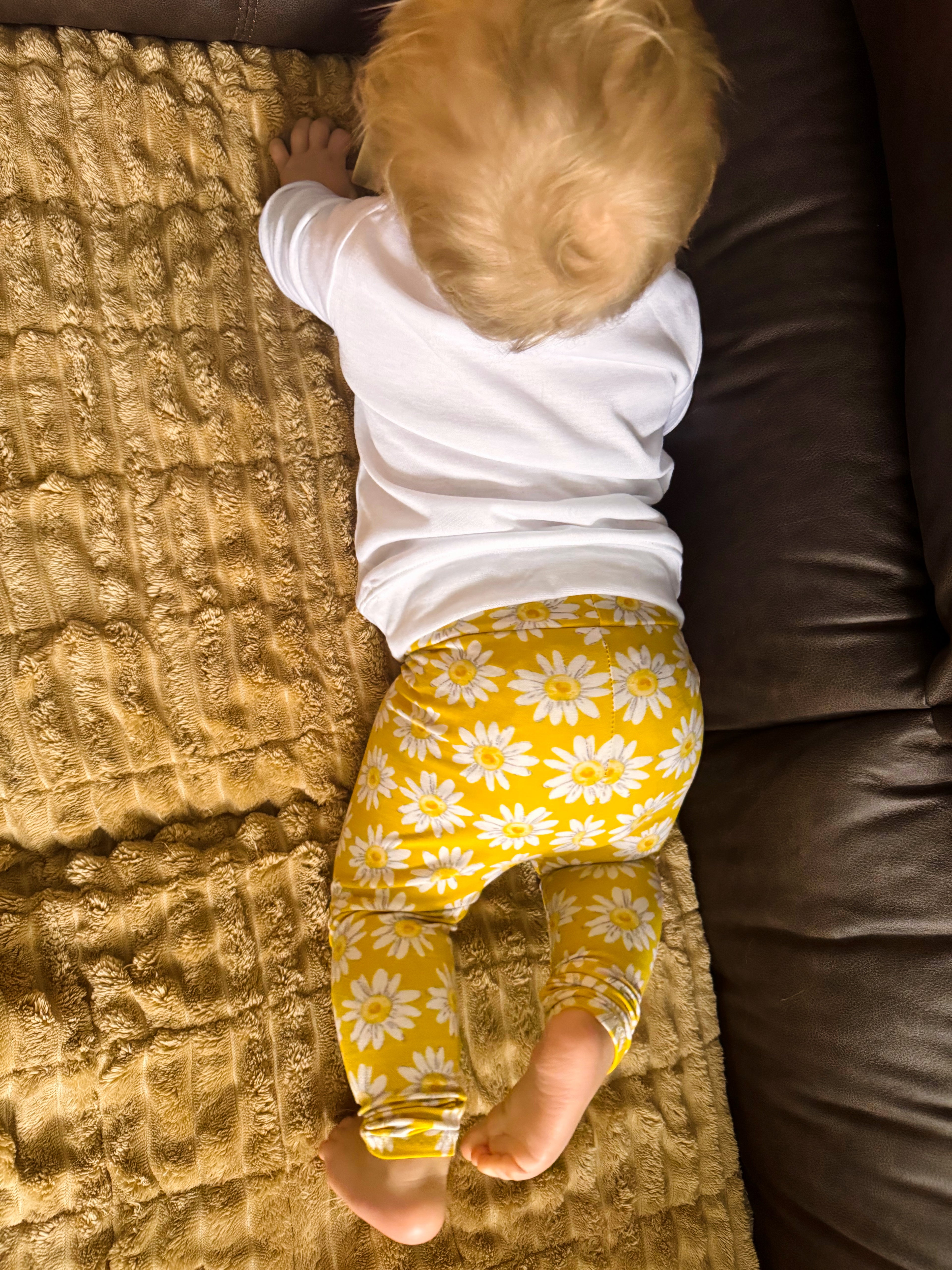 Spring Daisies on Yellow Leggings