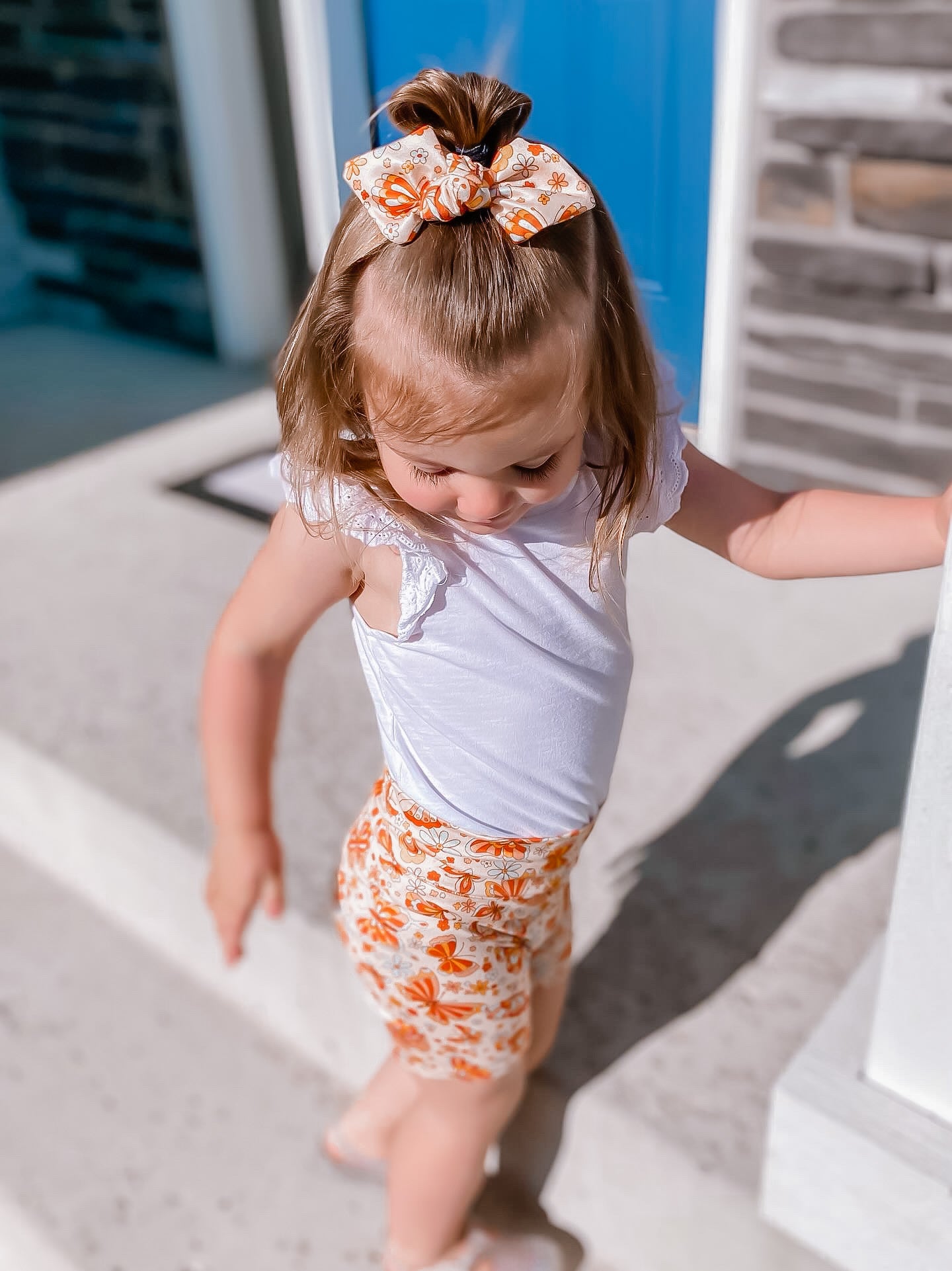 Summer Butterflies Headbands