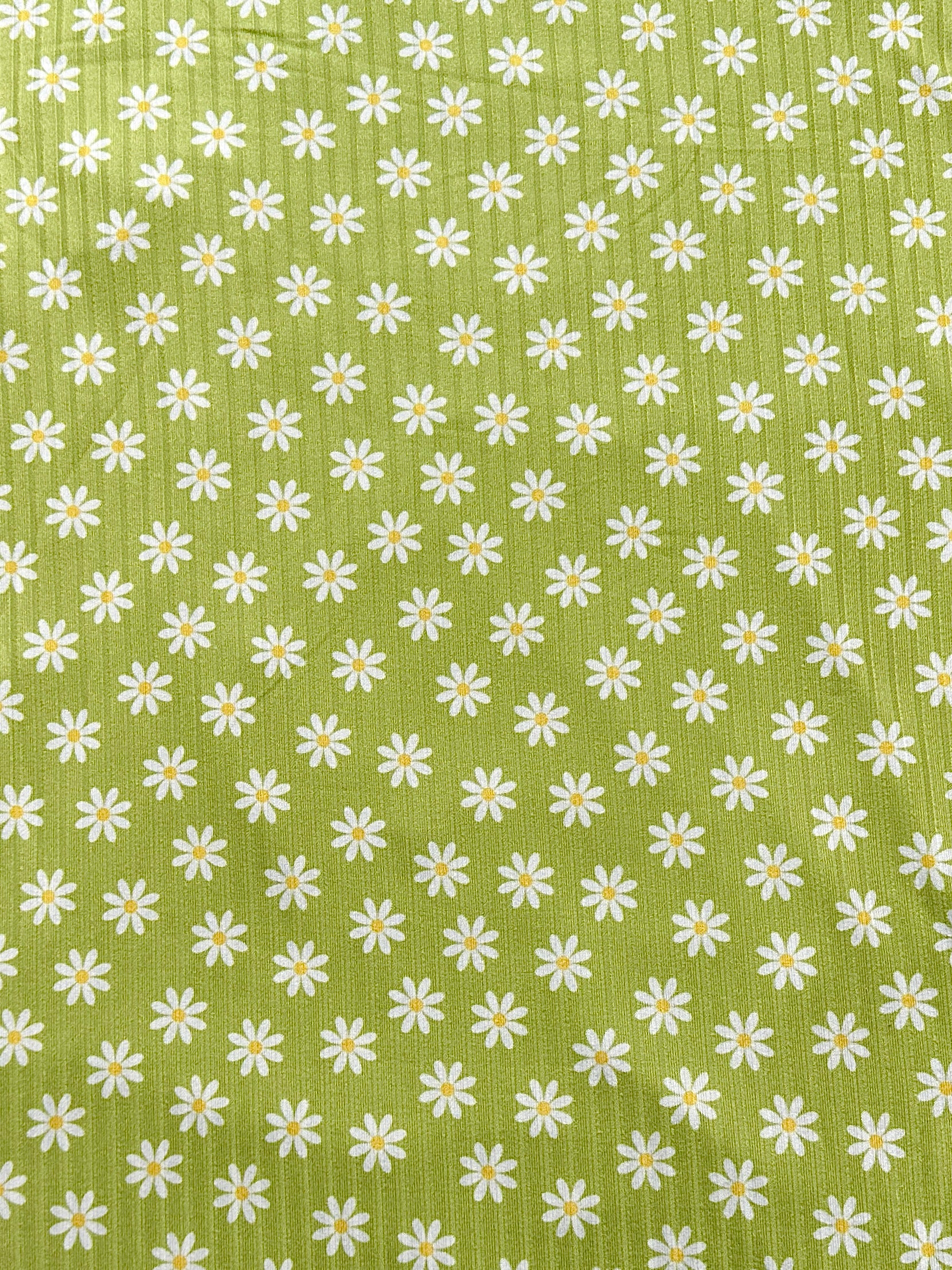 Daisy Parade Ribbed - Limited Vault Fabric
