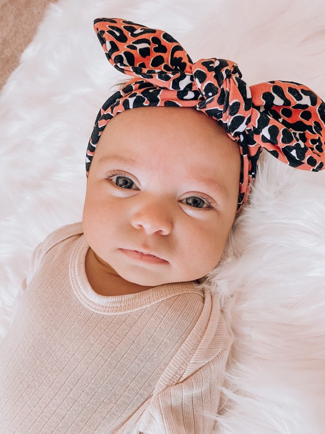 Orange Cheetah Bummies and/or Headbands