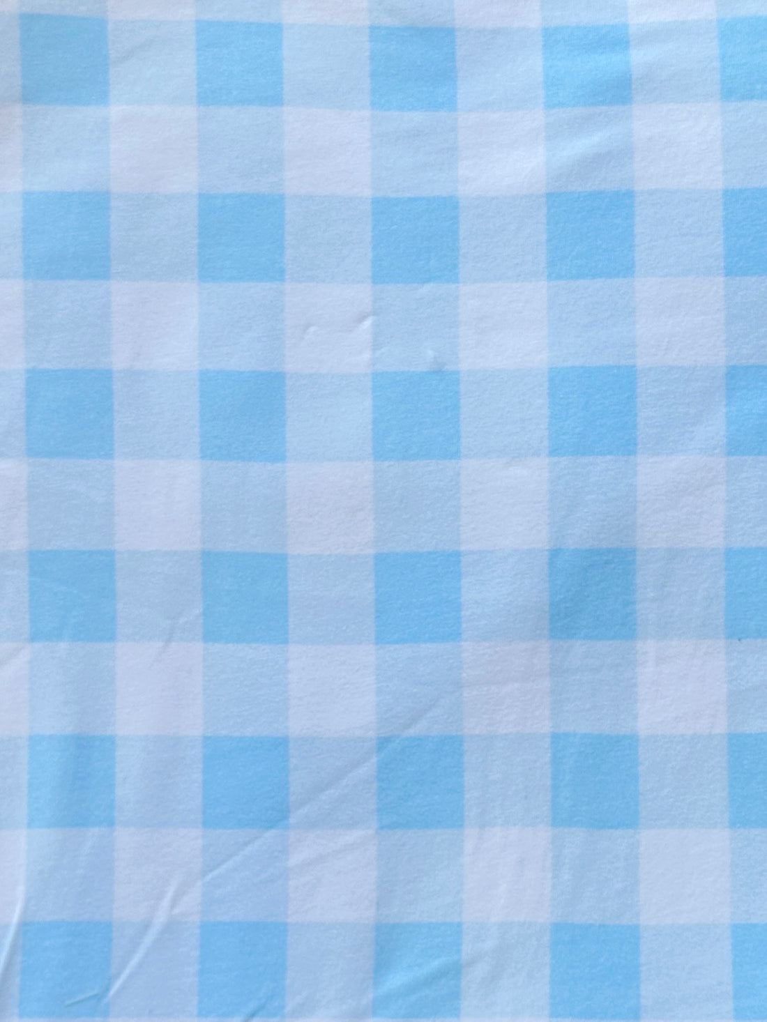 Baby Sky Gingham - Limited Vault Fabric