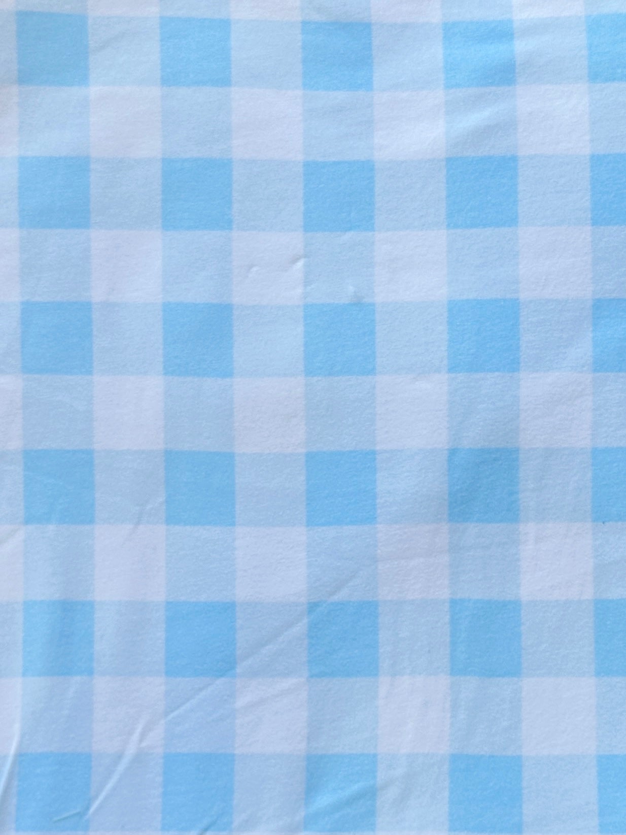 Baby Sky Gingham - Limited Vault Fabric