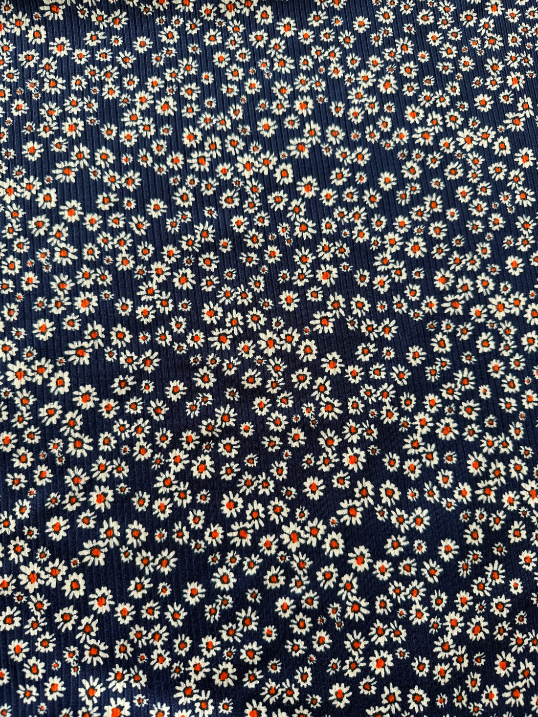 Navy Daisy Ribbed - Limited Vault Fabric