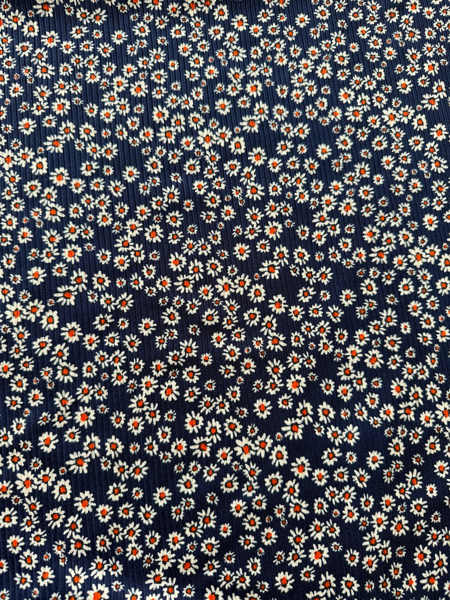 Navy Daisy Ribbed - Limited Vault Fabric