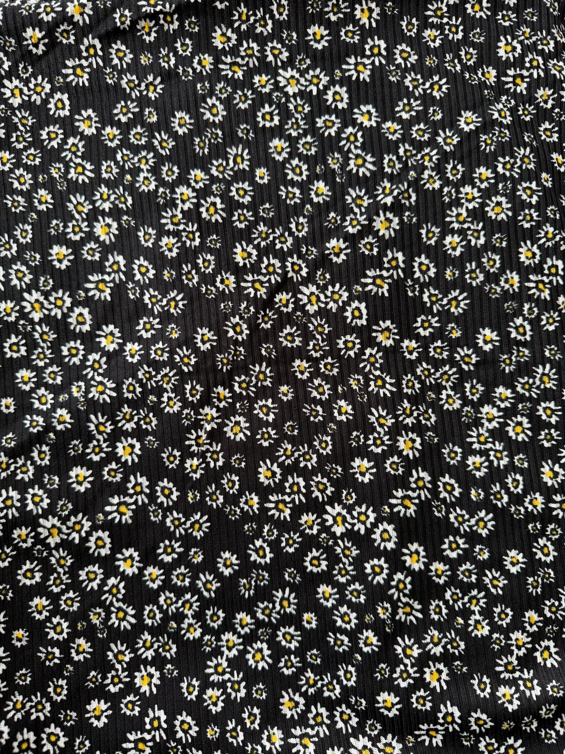 Black Daisy Ribbed - Limited Vault Fabric