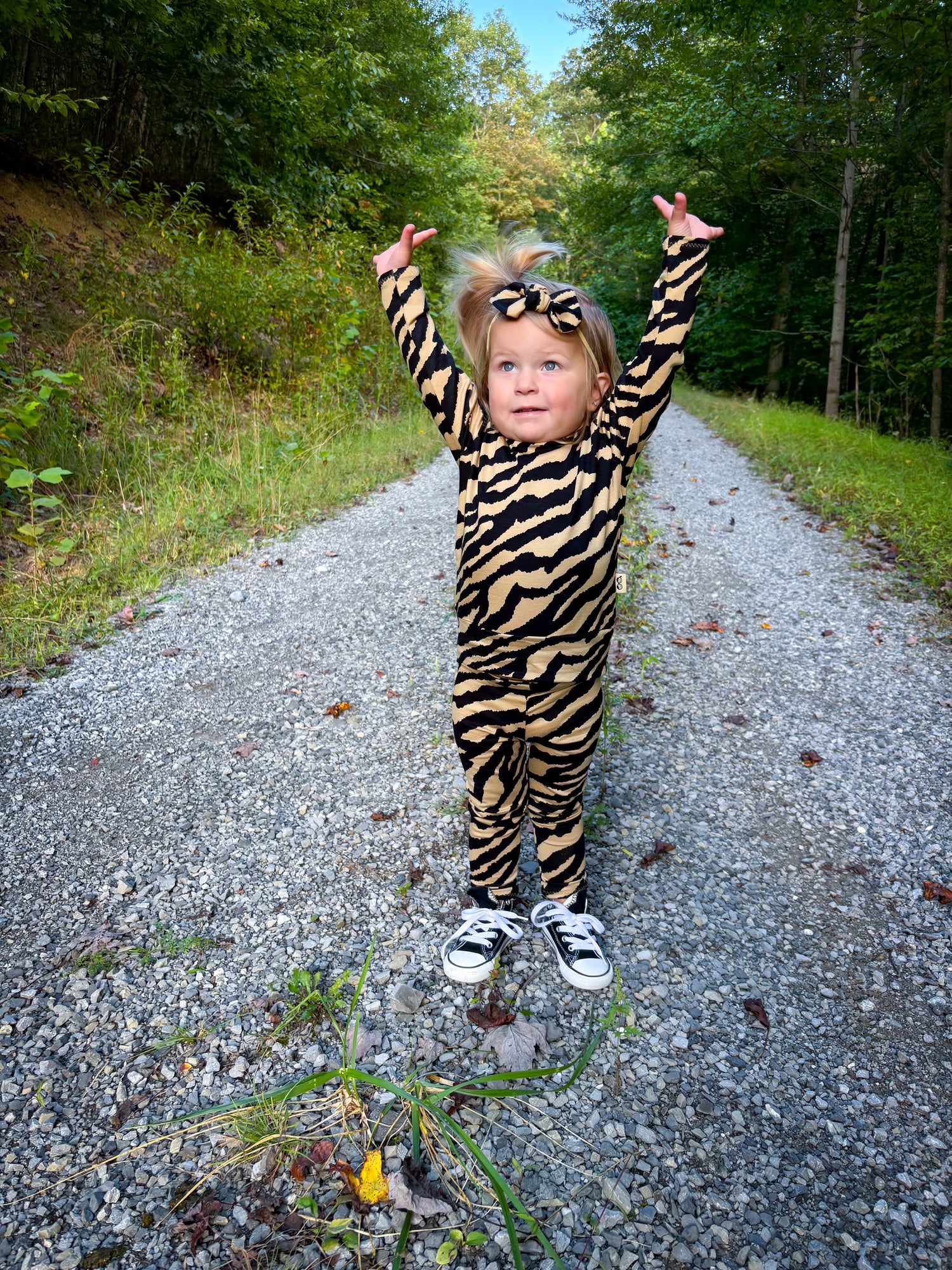 Golden Zebra Lounge Set