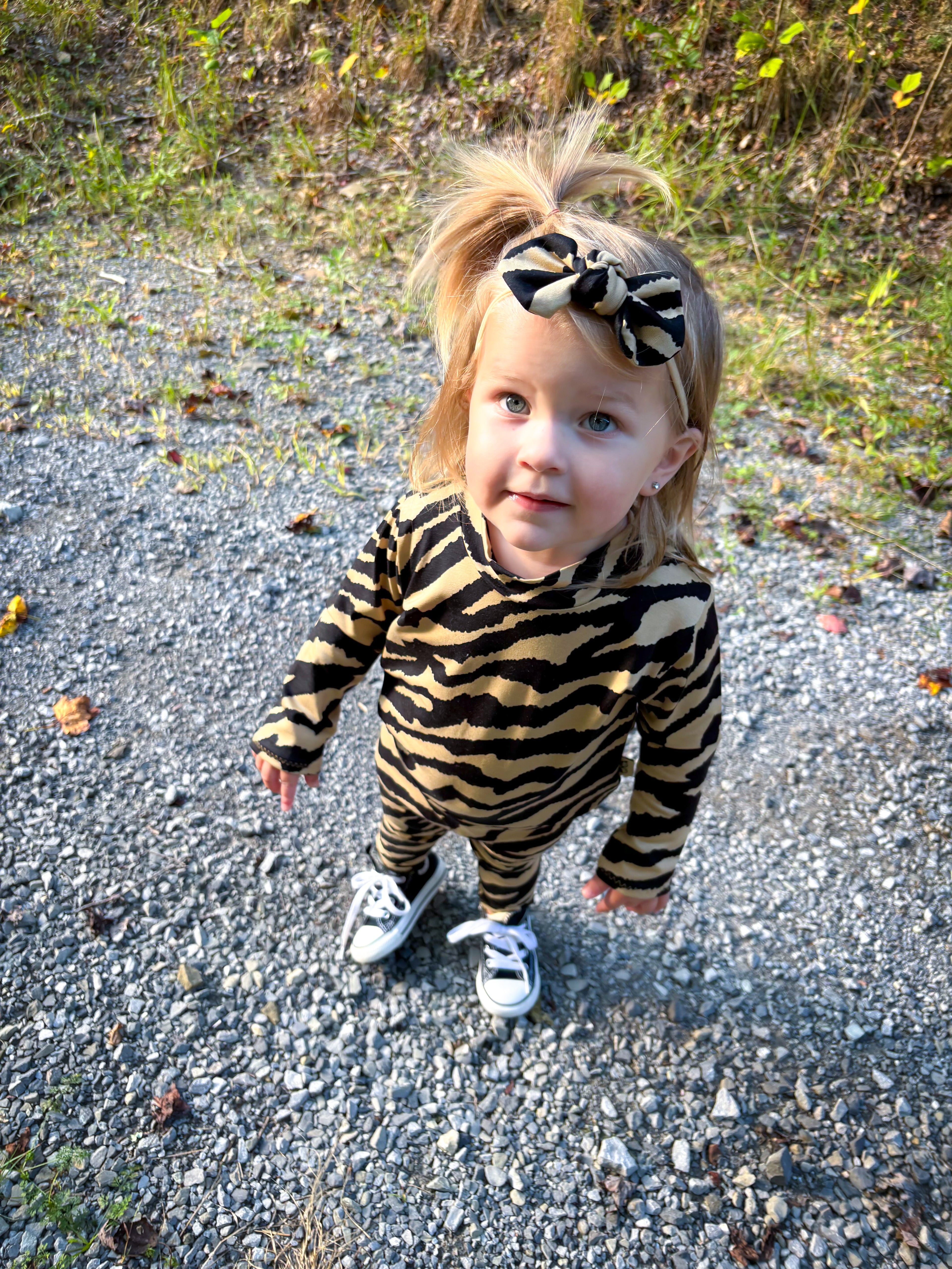 Golden Zebra Lounge Set