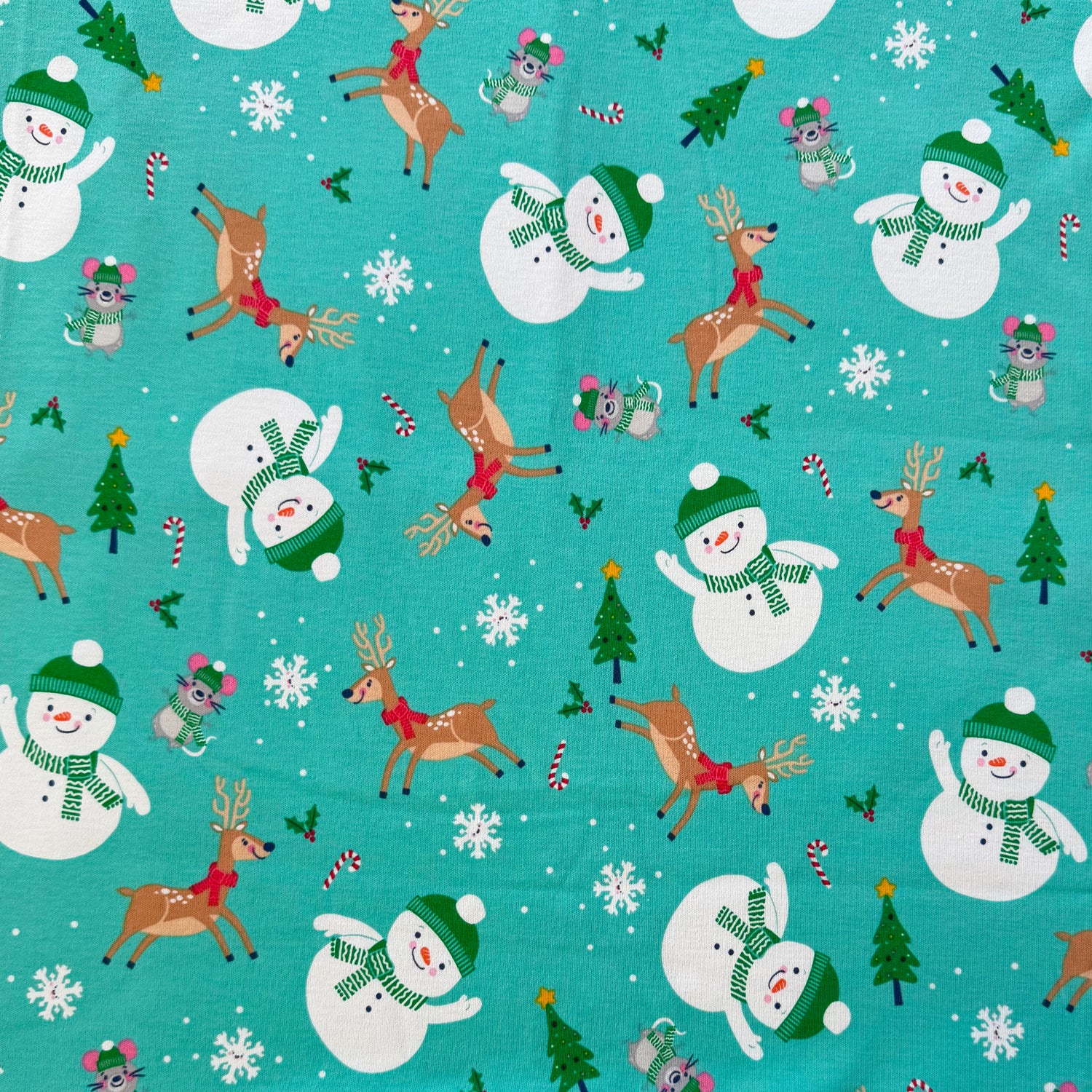 Mint Winter Wonderland - Limited Vault Fabric