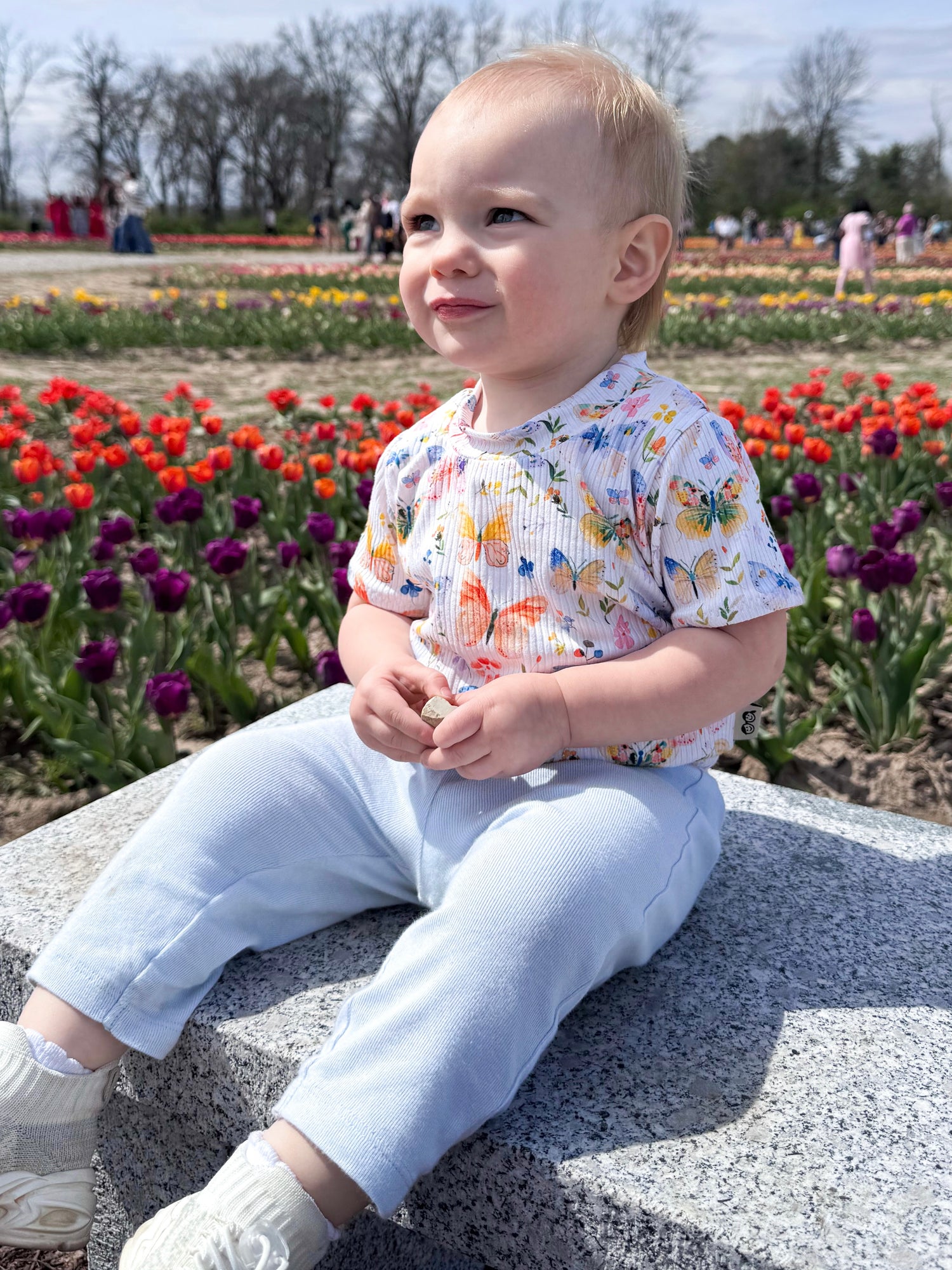 Butterfly Garden Ribbed Top - Short, Long or Sleeveless