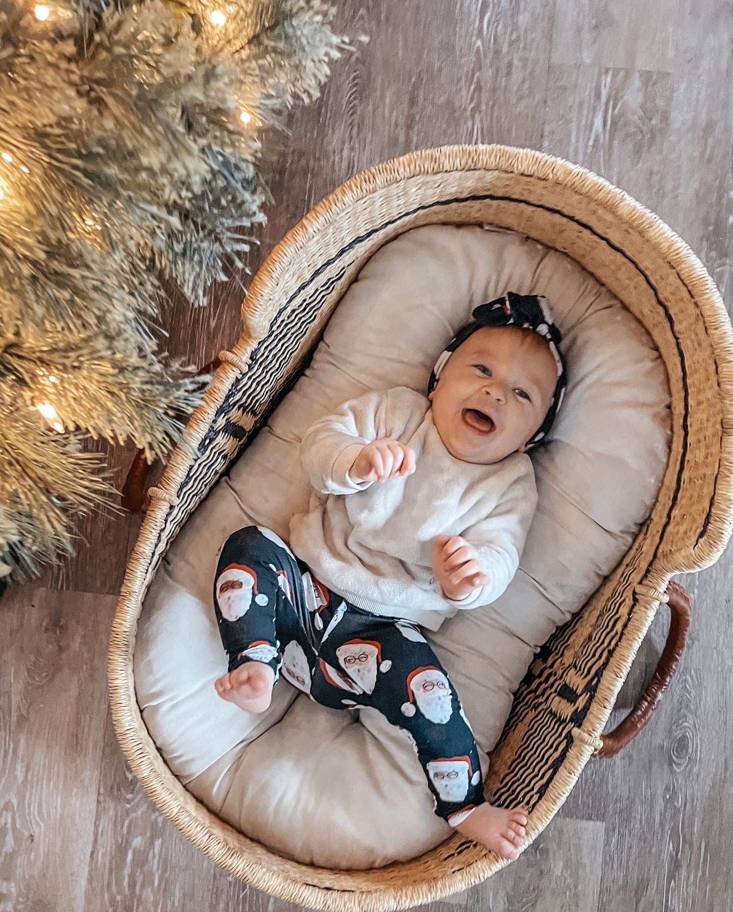 Baby in a Moses basket with Christmas tree in the background