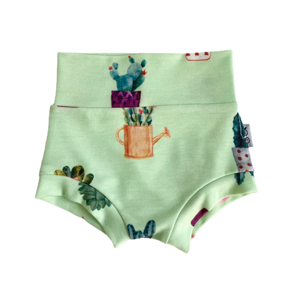 Cactus Pots on Green Bummies