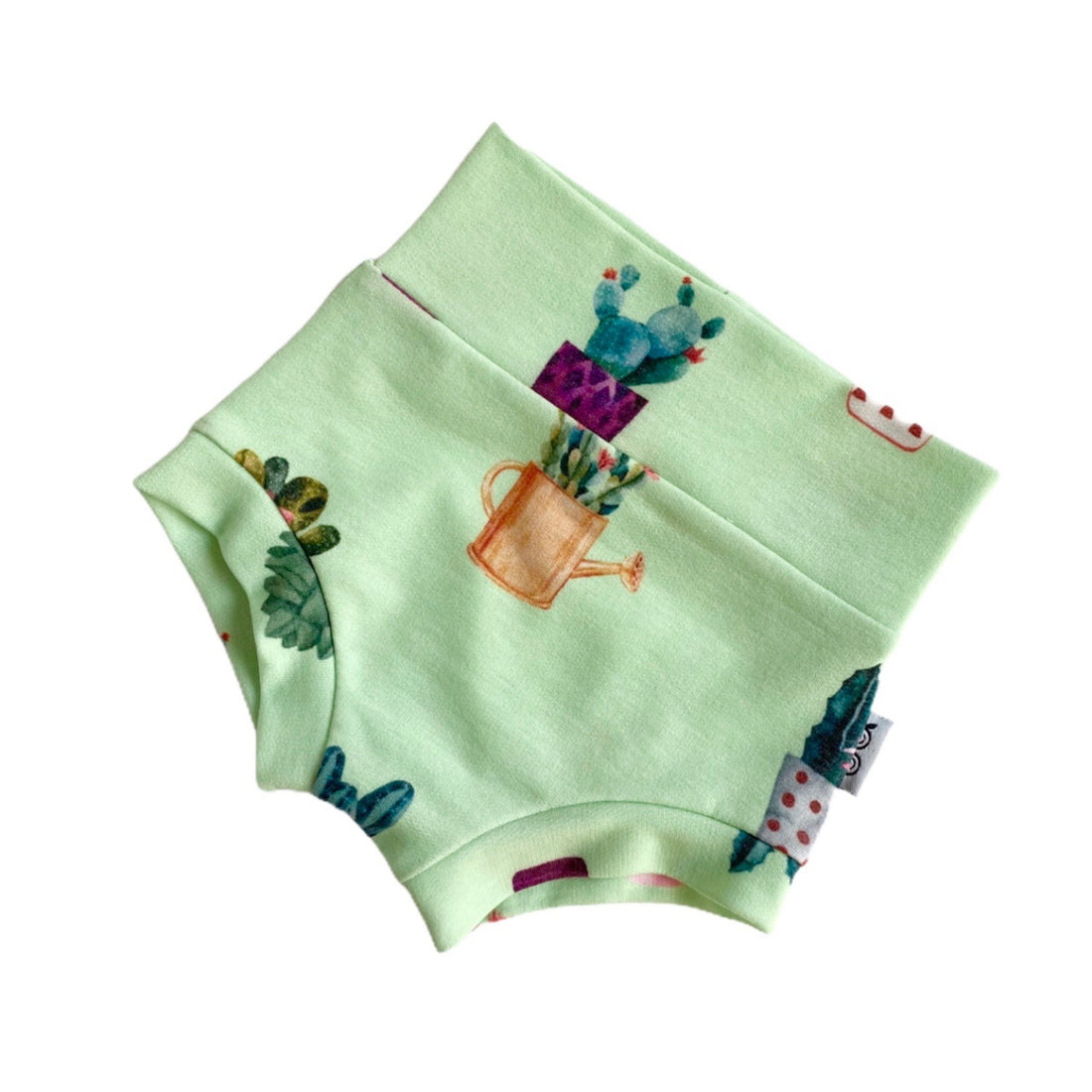 Cactus Pots on Green Bummies
